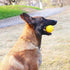 Rope-Ball Pet Toys, Durable Rubber Ball, Indestructible Chew Toy for Outdoor Training