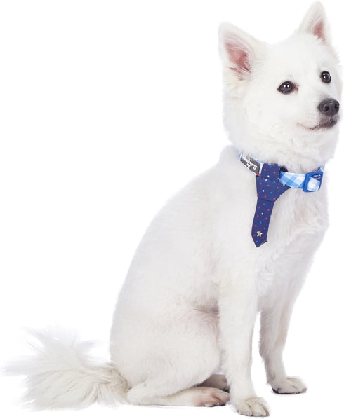 Blueberry Pet Adjustable Tie Dog Collar, Blue Hue Scottish Plaid Style, Medium, Neck 14.5"-20"