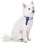 Blueberry Pet Adjustable Tie Dog Collar, Blue Hue Scottish Plaid Style, Medium, Neck 14.5"-20"