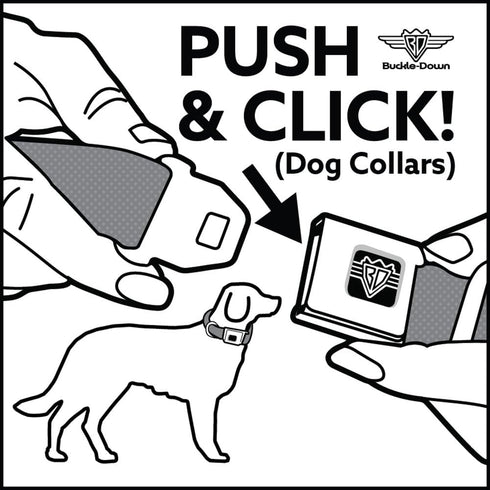 Dog Collar, Seatbelt Buckle Shelby 60th Anniversary Checker Red Black White, 16 to 23 Inches, 1.5 Inch Wide