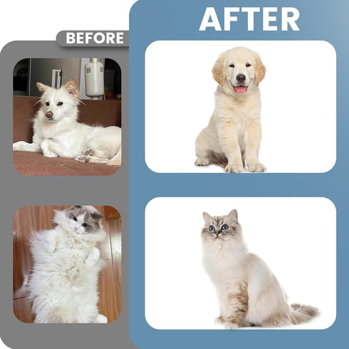Cat Brush Dog Brush for Shedding - Dematting Tool for Long Haired Pets - Safe and Effective Comb, Large, Blue