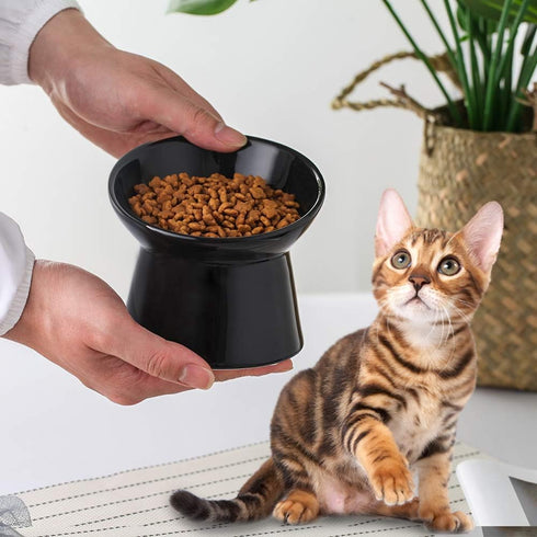 Black Small Ceramic Raised Cat Bowls, Tilted Elevated Food or Water Bowls, Stress Free, Dishwasher & Microwave Safe