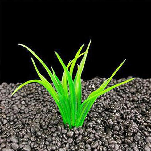 Smoothedo-Pets Aquarium Plants, 20pcs Small Size/1inch Tall Plastic Artificial Plant for Goldfish Waterscape.