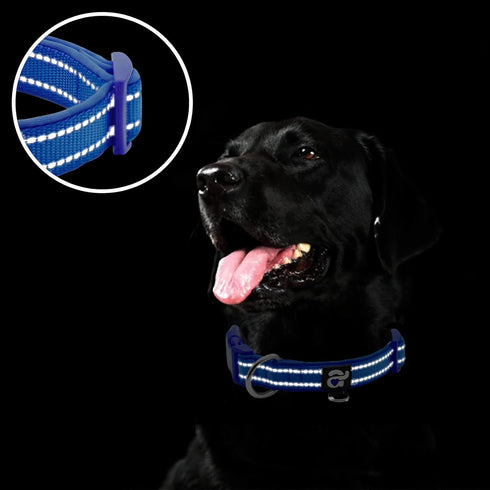 Azuza Reflective Dog Collar, Soft Neoprene Padded with ID Tag Ring, Adjustable for Medium Dogs (Royal Blue, M)