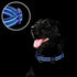Azuza Reflective Dog Collar, Soft Neoprene Padded with ID Tag Ring, Adjustable for Medium Dogs (Royal Blue, M)