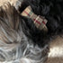 PUPTECK Leather Dog Collar for Small Dogs - XS Puppy Collar Bandana Accessories for Cats and Dogs