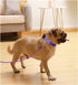 Small Dog Leash, Lightweight Strong Nylon Rope 1/4" by 6/8/10 FT, Bright Classic Leash for Small Pets (6ft, Dark Blue)