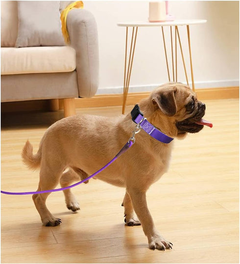 6FT/8FT/10FT Rope Dog Leash, 1/2” Strong Nylon with Leather Tailor Connection for Medium & Large Dogs
