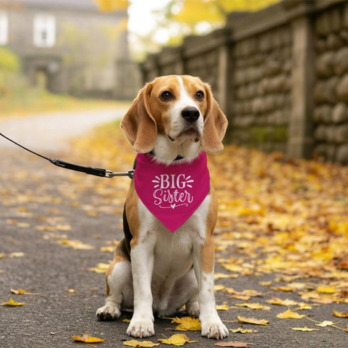 ZPPRJF Big Sister Dog Bandana, Dog Bandana, Deep Pink Pet Dog Scarf Accessories, Pet Dog Triangle Scarf, Dog Bandana