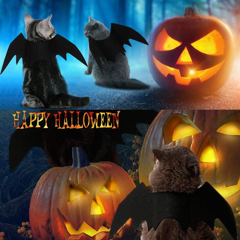 Pet Cat Bat Wings for Halloween Party Decoration, Puppy Collar Leads Cosplay Bat Costume Accessories