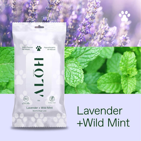 ALOH Hypoallergenic All-Natural Multi-Purpose Pet Wipes - Lavender + Wild Mint 50ct Wipes