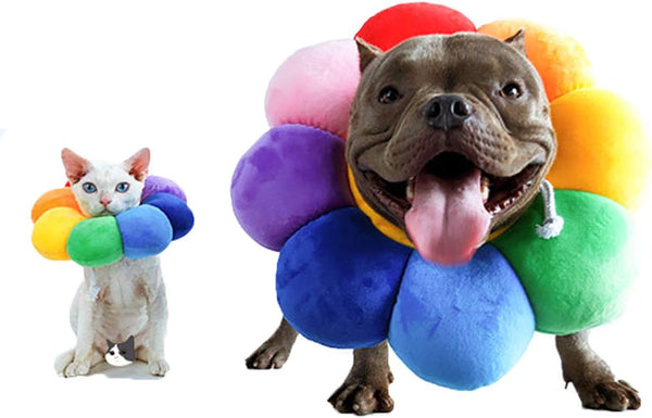 Adjustable Recovery Collar, Protective Pet Cone for Wound Healing, Soft Edge for Cats, Kittens & Small Dogs