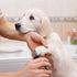 9 Pcs Dog Nail Clippers Bulk, Dog Toenail Clippers for Grooming Nails and Claw Care for Small Medium Dogs