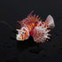 HEEPDD Artificial Glowing Fish - Luminous Fake Lion Fish Aquarium Ornament (Red)