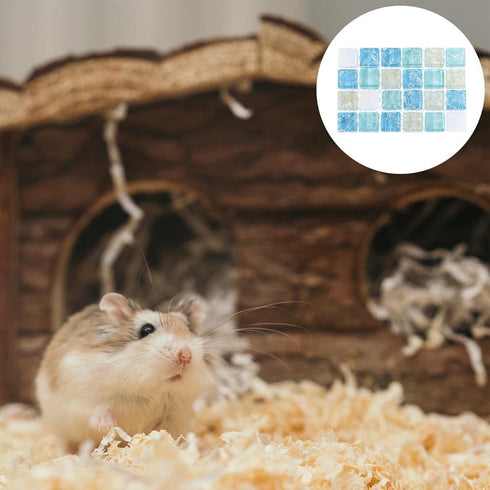 2pcs 10x6.5cm Sosoport Hamster Cooling Pads - Pet Cooling Stone Mat for Small Animals - Hamster Plate Small Animals