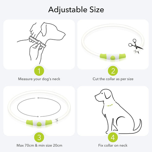 LED Dog Collar Light Up Dog Collars 1 Count USB Rechargeable TPU Glow Safety Basic Collars for Large Medium Small Dogs