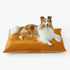 Allisandro Outdoor Dog Bed Pet Pad, Tough Pet Pillow with Removable Cover, Scratch and Water Resistant, Orange/Light