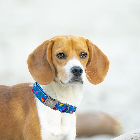 Elegant Little Tail Dog Collar, Blue Dinosaurs Pattern Adjustable Collar for Medium Dogs, Cute Gift