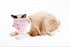 Cat Muzzles - Breathable Mesh Muzzles to Prevent Biting and Chewing, Anti Bite Anti Meow (Blue-S)
