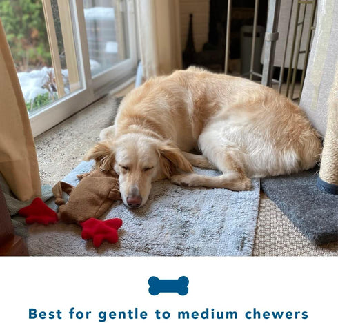 Cate & Levi Dog Toy Water Bottle Cruncher, No Squeaker Quiet, Durable Bottle Cover Dog Toy