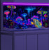 72X24IN Blacklight Mushroom Jellyfish Aquarium Background, UV Reactive Starry Sky Terrarium Background.