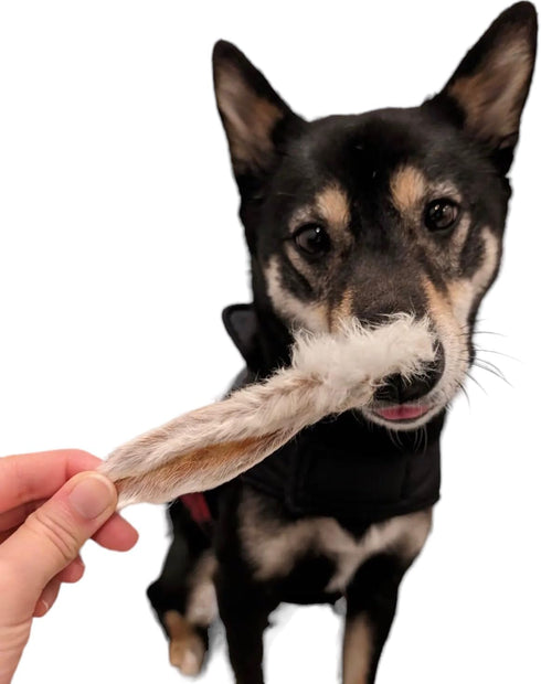 Dehydrated Rabbit Ears for Dogs & Cats - Healthy Whole Rabbit Ears with Fur, Rawhide Alternative, Pack of 6