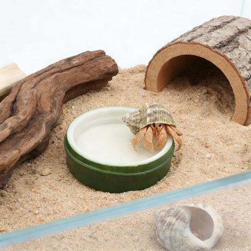 DQITJ 2 Pcs Snail Water and Food Bowl Hermit Crab Feeding Dish for Snail Crab Millipede Frog Tarantula Small Reptile