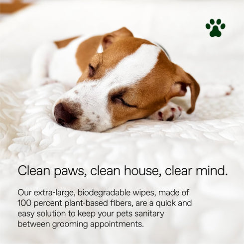 ALOH Hypoallergenic All-Natural Multi-Purpose Pet Wipes - Lavender + Wild Mint 50ct Wipes