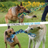 Dog Rope Toys for Medium Large Breed - 100% Indestructible Cotton Chew Toys for Aggressive Chewers