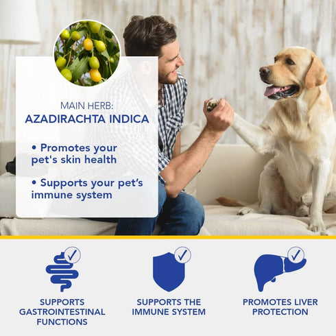 Ayush Pet Skin Plus, Neem Supplement, 90 Capsules for Healthy Skin and Coat