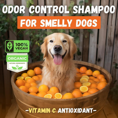 Deodorizing Dog Shampoo for Smelly Dogs | Puppy Shampoo | Organic Pet Shampoo for Dogs | Natural Dog Shampoo Bar | Citrus Essential Oils | Eco-Friendly | Zero Plastic Waste | Vegan | 3 Pack