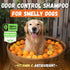Deodorizing Dog Shampoo for Smelly Dogs | Puppy Shampoo | Organic Pet Shampoo for Dogs | Natural Dog Shampoo Bar | Citrus Essential Oils | Eco-Friendly | Zero Plastic Waste | Vegan | 3 Pack