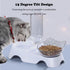 Elevated Cat Food Water Bowls with 15° Tilted Raised Stand, Double Dog Cat Bowls Anti Vomiting, Automatic Water