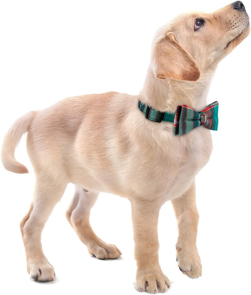 Cute Soft Girl Dog Collar with Bow, Detachable Adjustable Bowtie Dog Collar for Small Medium Large Pets