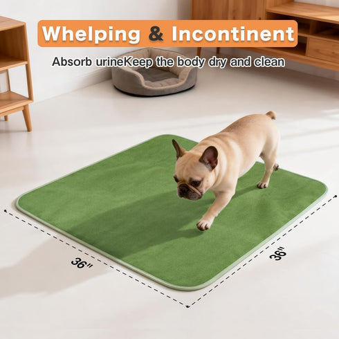 36x36 inch Washable Pee Pads for Dogs, Extra Large Reusable Dog Pee Pad, Waterproof Pet Mat, Dog Playpen Mats for Puppy