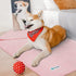 PetAmi Waterproof Dog Blanket, Leakproof XL Cover for Large Dogs, Reversible Washable Soft Plush, Twin 60x80, Pink