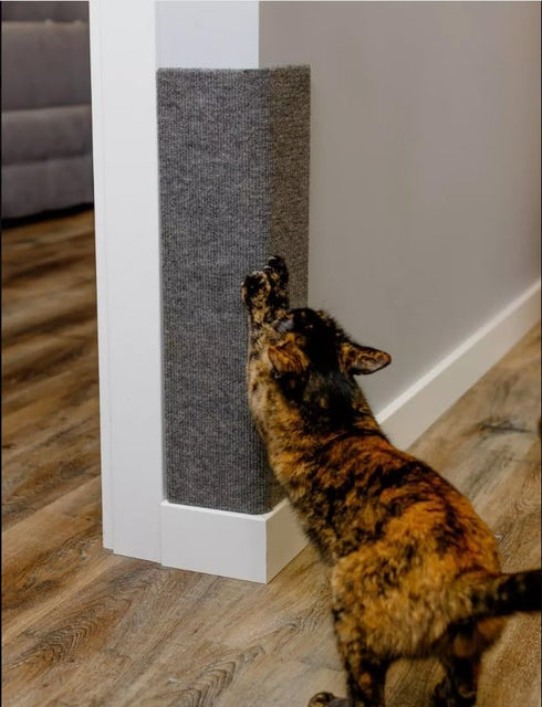 Cat Scratching Mat, 24 x 15 Inch Horizontal Floor Pad with Sticky Tapes, Protects Couch and Carpets