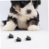 6pcs Yardwe Ceiling Mount Bracket for Dog Potty Pads Puppy Training Mats Wall Mount Holder for Dog Mats