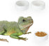Reptile Food Bowls -Ceramic Round Reptile Water Food Dish, Pet Food Bowl for Lizards, Small Snakes, Young Bearded Dragons, Gecko Tortoise Spider (White, Small-2Pack)