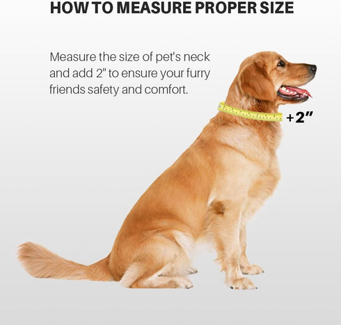 Hyhug Dog Collar for Large Dogs - Heavy Duty Red, Quick Release Nylon Buckle, Adjustable & Durable