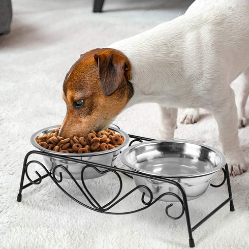 Pet Bowl, Double Cat Dog Waterer Bowls, Stainless Steel Elevated Feeder with Non-slip Raised Stand for Small Dogs Cats