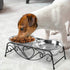Pet Bowl, Double Cat Dog Waterer Bowls, Stainless Steel Elevated Feeder with Non-slip Raised Stand for Small Dogs Cats