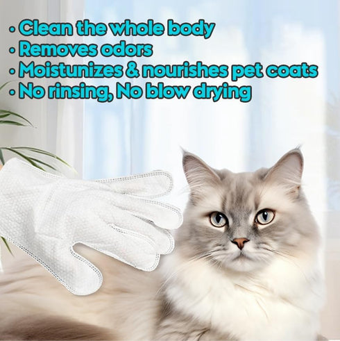 Cleaning Glove for Dog and Cat, Wipes Gloves for Pet Fur Face, Ear, Eye, Paws Cleaning Wipes, Grooming Wipes (6 Pcs)
