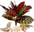 FLmoving Reptile Terrarium Decor Plants,Amphibian Habitat Decor,Artificial Plants for Tank Accessories (Calathea makoyana