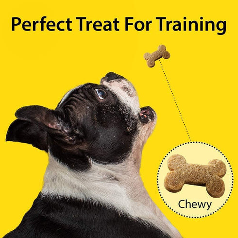 Emerald Pet 3 Pack of Little Chewzzies - 5 Ounces each, Chicken Flavor Low Calorie Wheat-Free Dog Treats