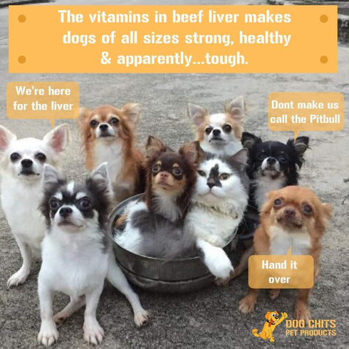 Dog Chits Beef Liver-Premium Cuts | Dog and Puppy Chews | Made in USA, Grass Fed Beef | All-Natural Quality Treats
