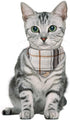 Faleela Breakaway Cat Collar with Bells - 2 Pack Adjustable Cat Collars with Bandana, Accessories for Cats and Small