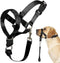 BARKLESS No-Pull Head Collar for Dogs, Soft Adjustable Halter Harness for Training & Walking
