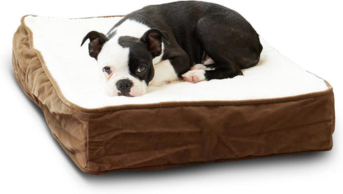 South Pine Porch Ollie Orthopedic Rectangle Foam Dog Bed, Extra Small (24" x 18"), Latte