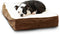 South Pine Porch Ollie Orthopedic Rectangle Foam Dog Bed, Extra Small (24" x 18"), Latte